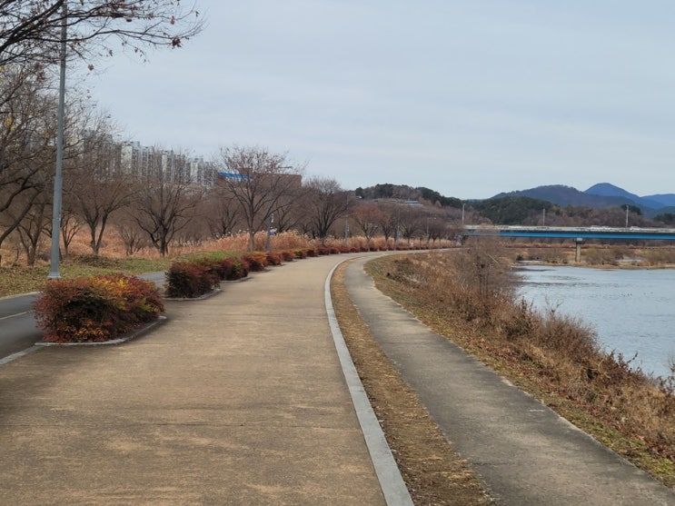  충동구매 막는 방법 지갑보다 마음을 먼저 다스려야