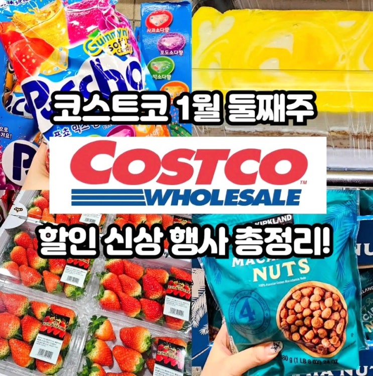  코스트코 1월 둘째주 할인상품