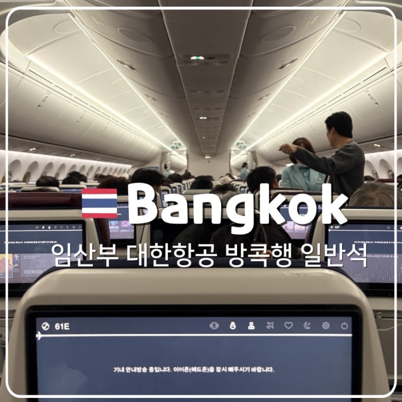 임산부 인천-방콕 대한항공 일반석 이용후기/운행시간표,기내식,눕코노미,KE653
