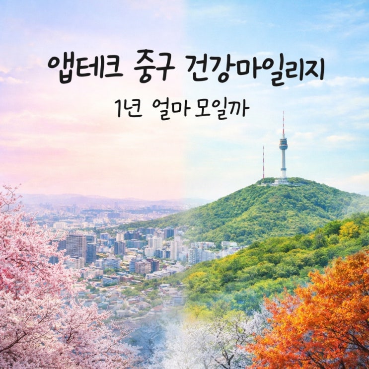 앱테크 중구 건강마일리지 2025년 결산 총정리