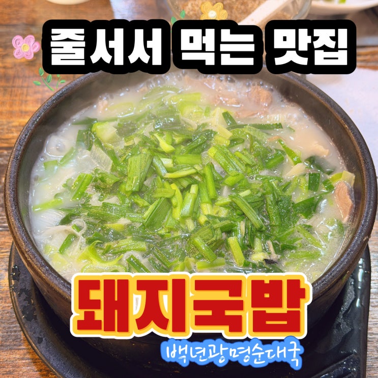  수원 맛집 줄서서 먹는 순대국 인생 돼지국밥 만남 소울푸드 추천