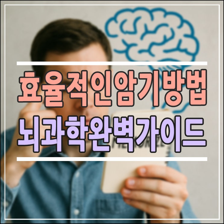  효율적인 암기 방법, 뇌과학으로 증명된 완벽 가이드