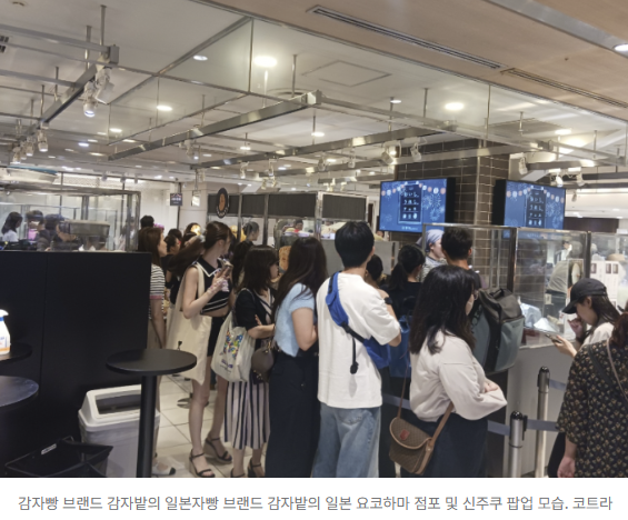   "디저트 배가 따로 있네!" 일본 여심 저격한 K-스위츠의 화려한 역습