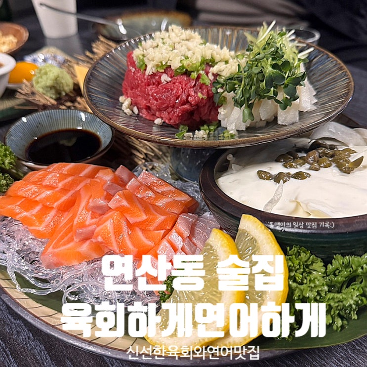  연산동 2차 술집 육회하게연어하게 연산점 신선한 육회와 연어 맛집 추천
