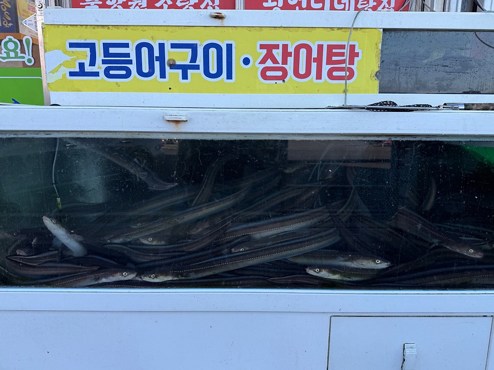 북항원조탕집 사진 5