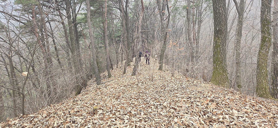 장학산 사진 6