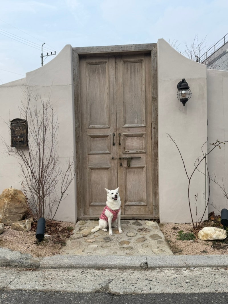 사진 2
