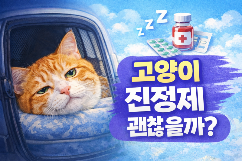 고양이 진정제, 써도 될까?