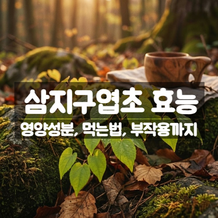 삼지구엽초 효능 부작용 먹는법 – 기력을 보충하는 음양곽