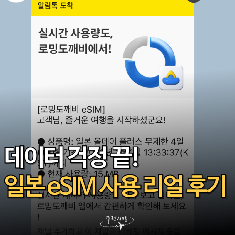 오키나와 여행에서 진짜 편했던 일본 이심 추천, 로밍도깨비 데이터 무제한 리얼 후기