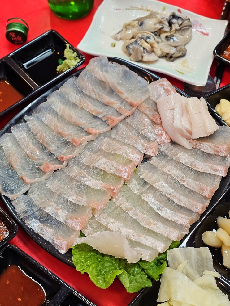  외도맛집 해양호수산회백화점 포차분위기 가성비 최고 회포장 낮술 추천