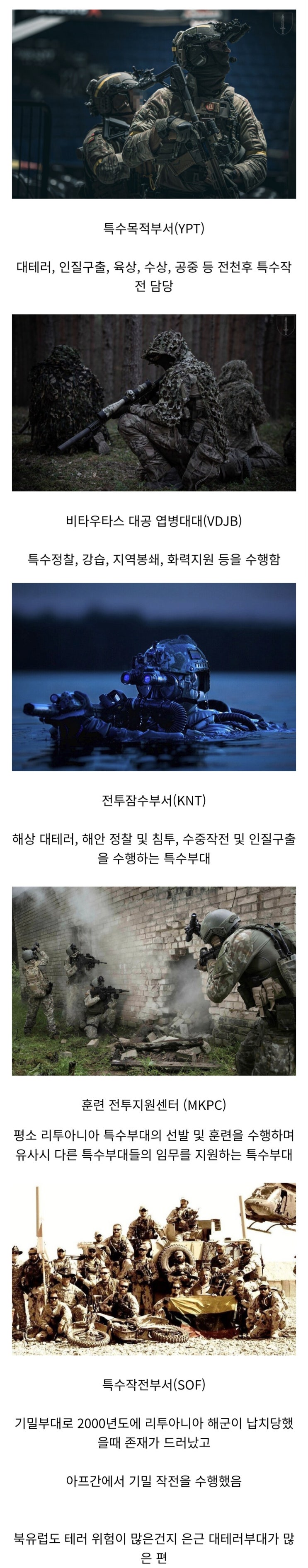  리투아니아군의 특수부대