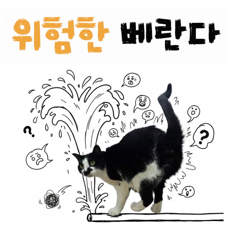  고양이집 베란다 사용법 실제 경험한 문제점 5가지