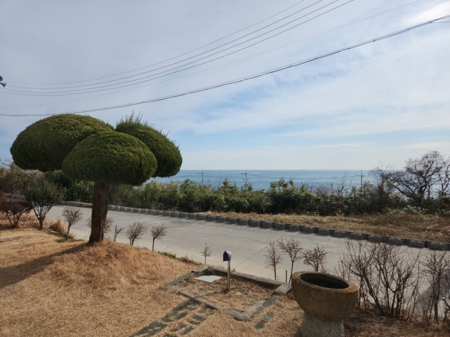 통일로토종순대국 사진 1