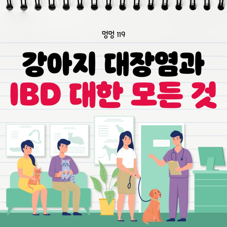  강아지 대장염, 염증성 장질환(IBD)에 대한 모든 것