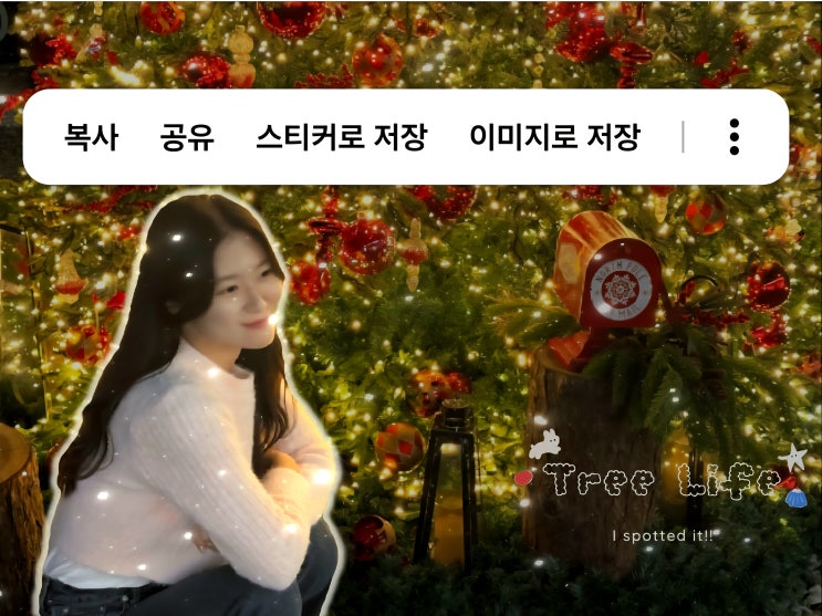  나의 하루엔 안온한 볕이 들길 바란대