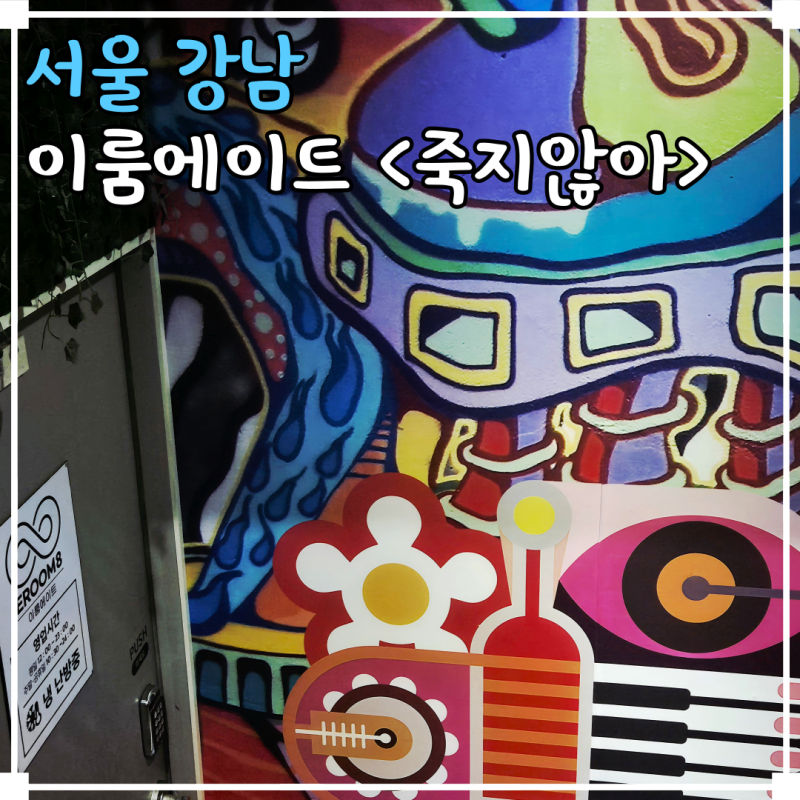 사진 8