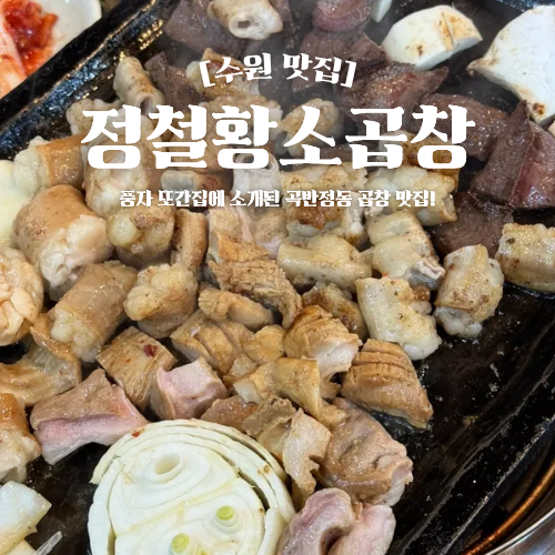  수원 곡반정동 맛집 정철황소곱창 풍자 또간집 추천