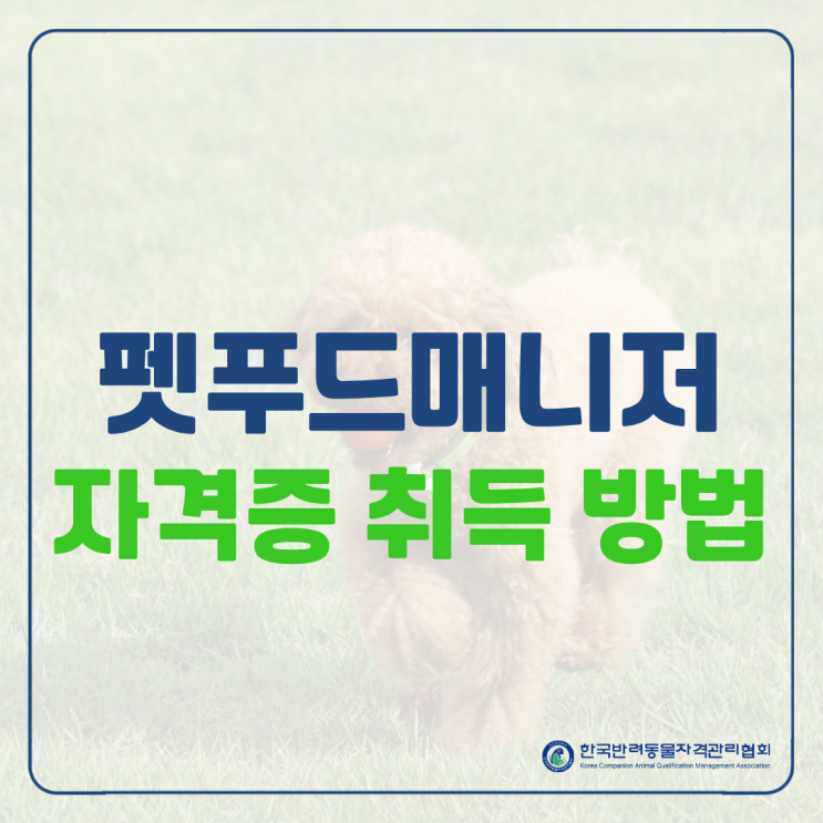  펫푸드매니저 자격증 취득, 반려동물 먹거리를 책임지는 전문가의 시작