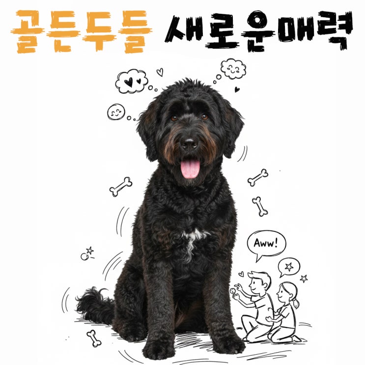  골든두들 키우기 전 꼭 알아야 할 의외의 사실 5가지