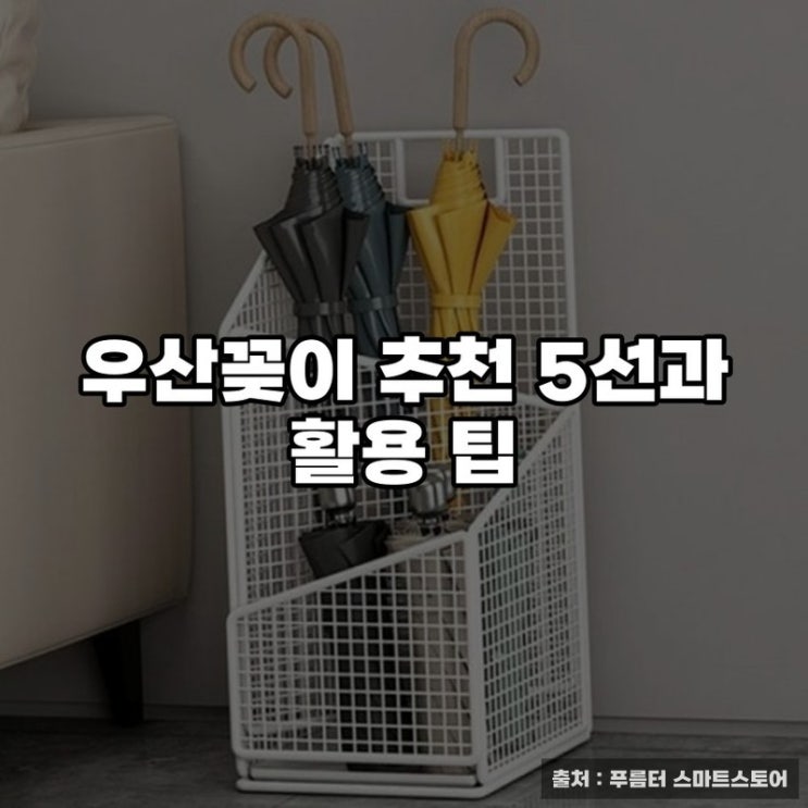  우산꽂이 추천 5선과 활용 팁