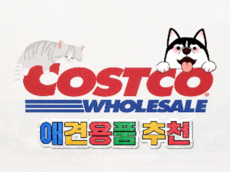  고양이 강아지간식 사료 추천상품 코스트코 애견용품