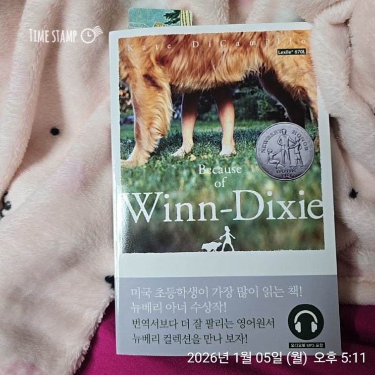  Because of Winn-Dixie 뉴베리 수상작 노블 영어원서 추천 엄마표영어