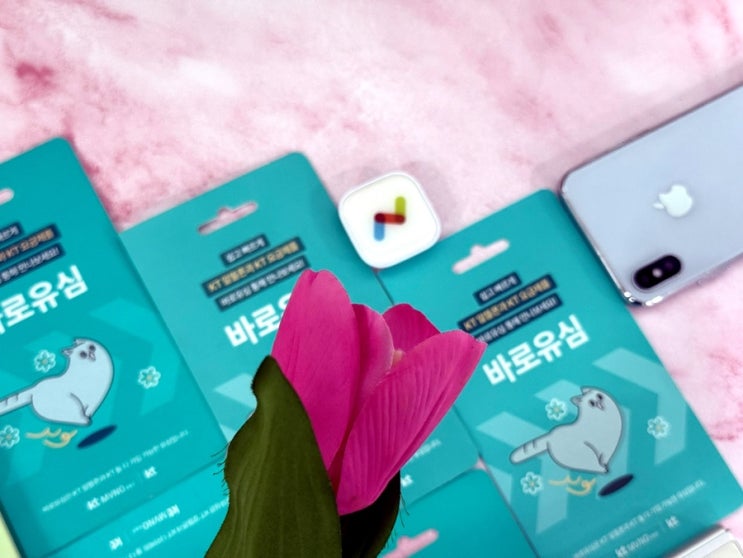  KT 바로유심 앤텔레콤 개통 절차가 어떻게 되나요?