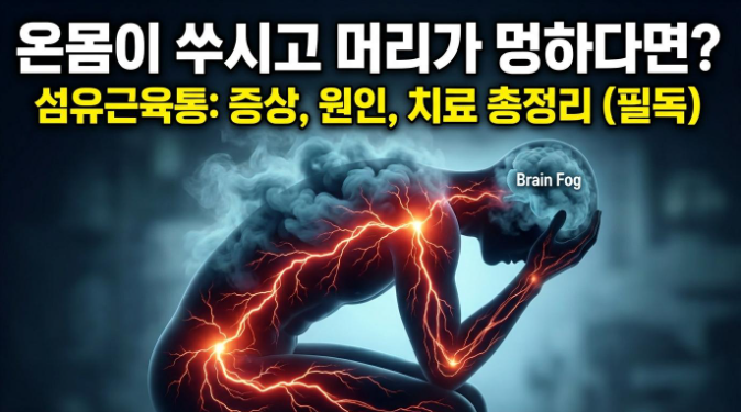 섬유근육통 증상, 원인, 최신 치료 총정리검사 정상인데 계속 아프다면 반드시 확인하세요