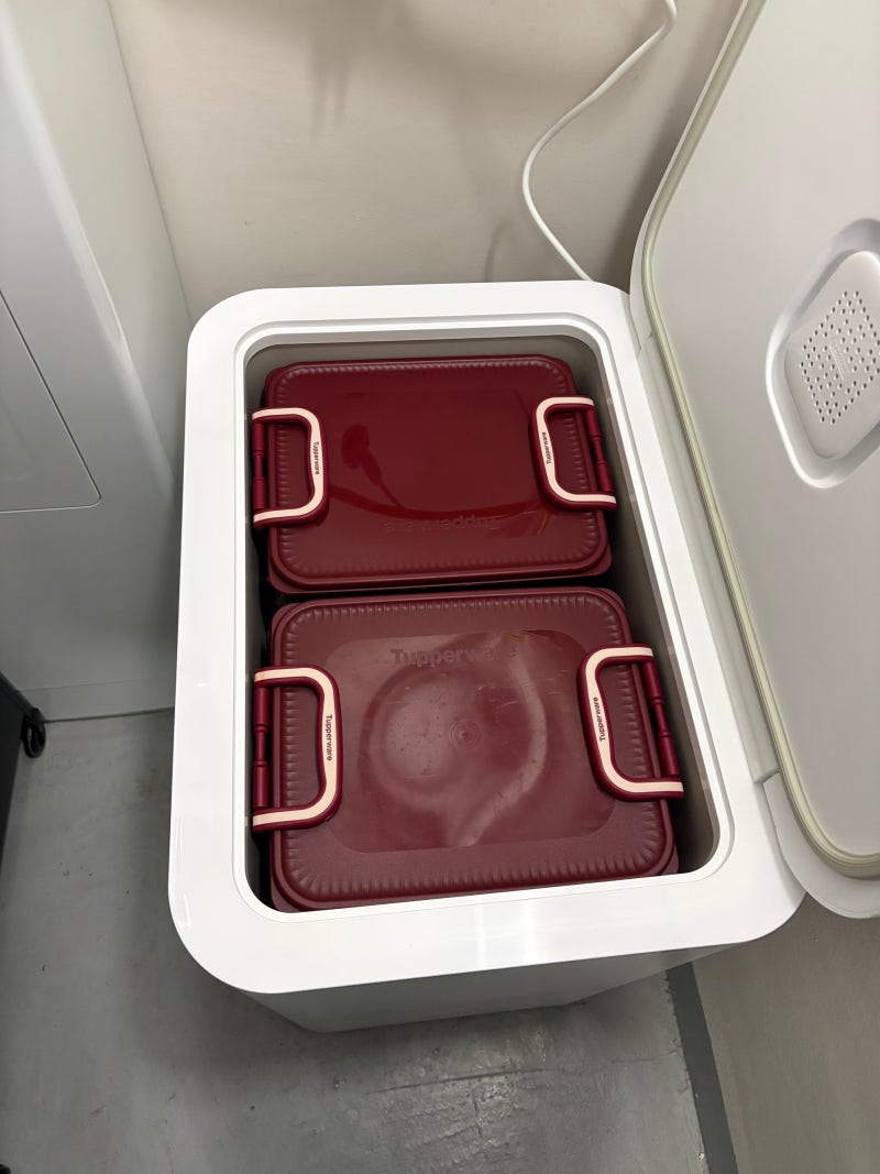락앤락 김치냉장고 50L 후기 (+타파웨어 김치통)