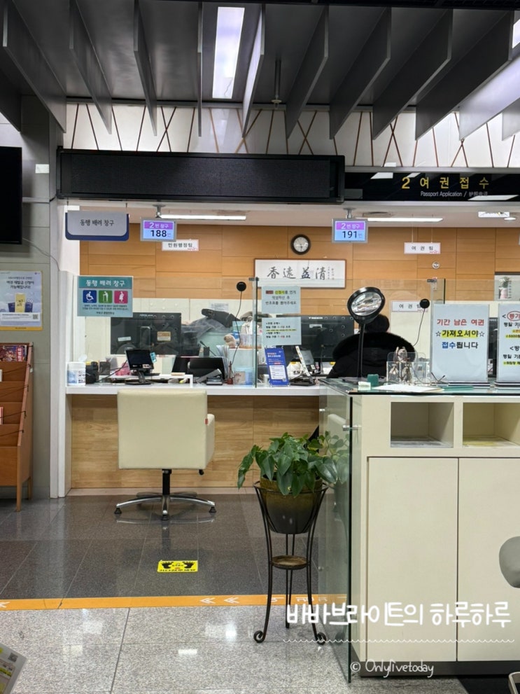  여권 빨리 받는 방법 실제 후기