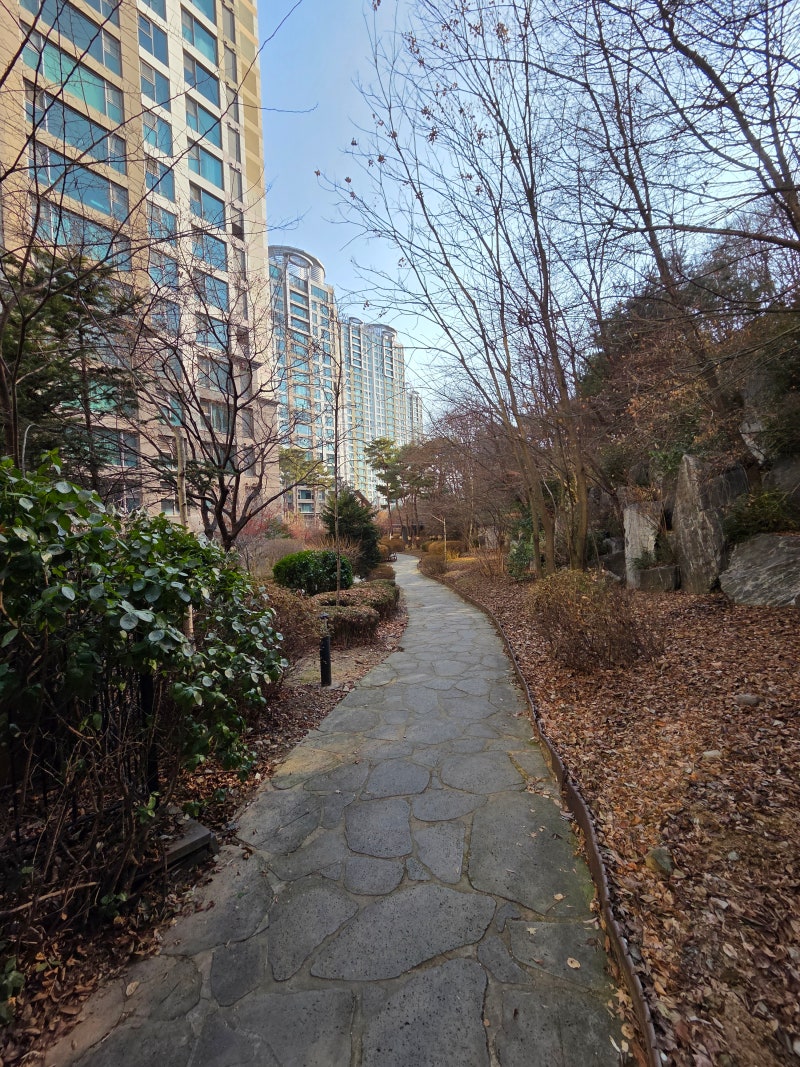 정책지식 2026.1.5. : 네이버 블로그