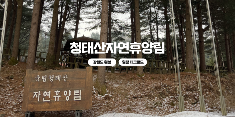청태산자연휴양림 제2휴양관 가래나무 숙소, 숲나들e 예약방법 및 이용후기, 강원도 횡성의 ....