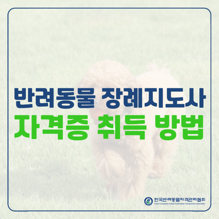  반려동물 장례지도사 자격증 취득 방법은?