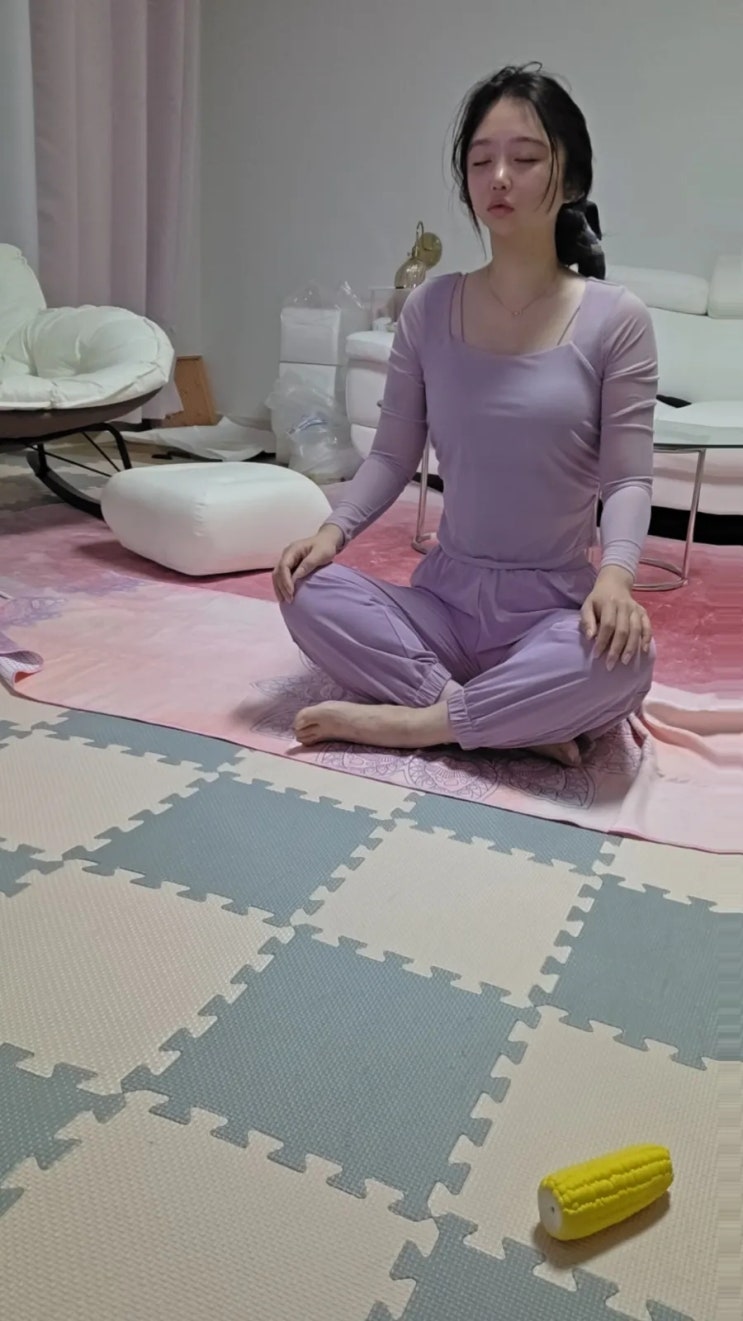  새해 첫날 집에서 강아지랑 줌으로 요가수업듣기 | 온라인요가 bytt 첫수업 후기