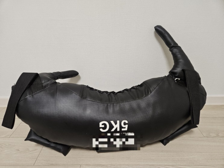  홈트 끝판왕! 불가리안백 짝퉁 6개월 사용 후기, 꼭 수플레스여야할까?