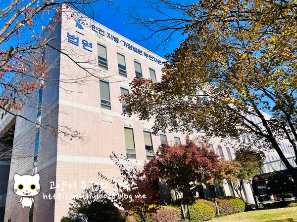  [HUG전세보증보험] 전세사기 탈출하기 2. 법원에서 임차권등기신청하기