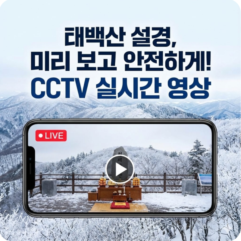 태백산 국립공원 cctv 실시간 보는법 천제단 정상 영상 확인