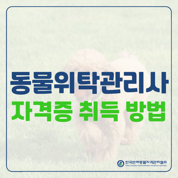  반려동물위탁관리사 자격증 취득 방법은?