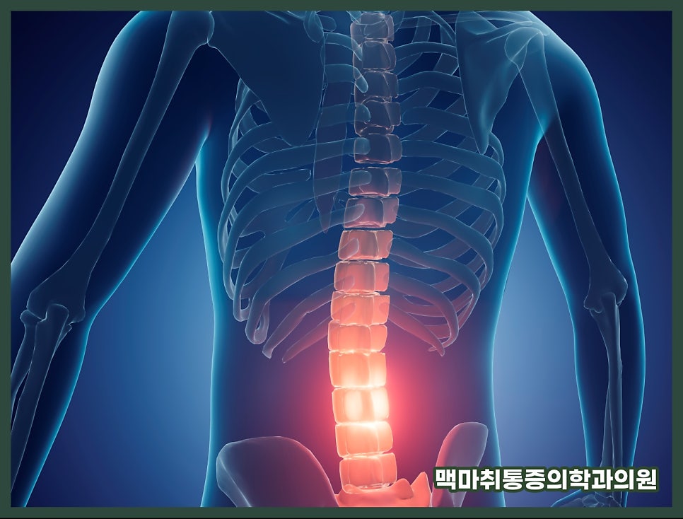허리삐끗했을때 조치방법 그냥 쉬어도 되는 상황과 점검 기준
