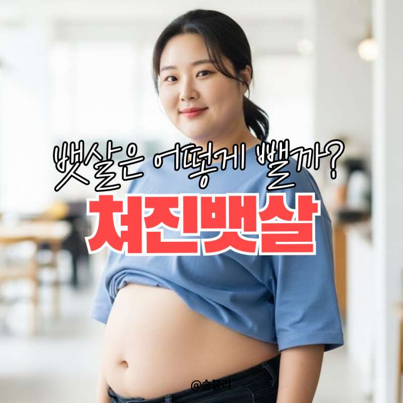 쳐진뱃살 뱃살빼는기구 하나로 관리하는 방법