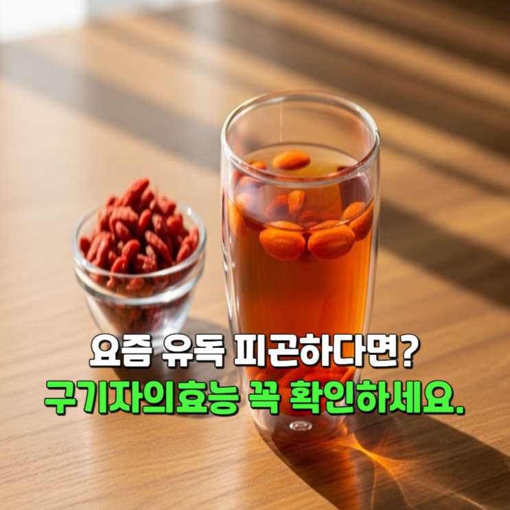  요즘 유독 피곤하다면 그냥 넘기지 마세요, 구기자의효능 이렇게 달라집니다.