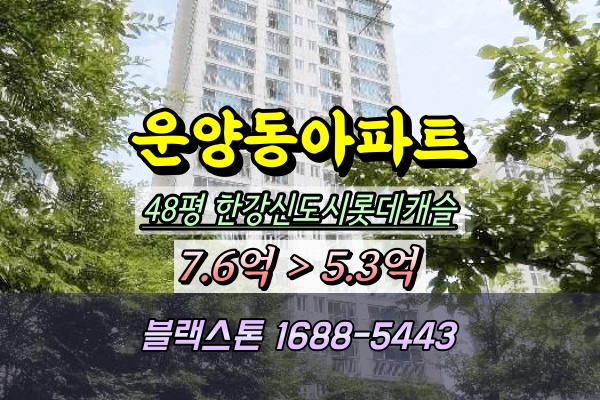  한강신도시롯데캐슬 경매 48평 308동