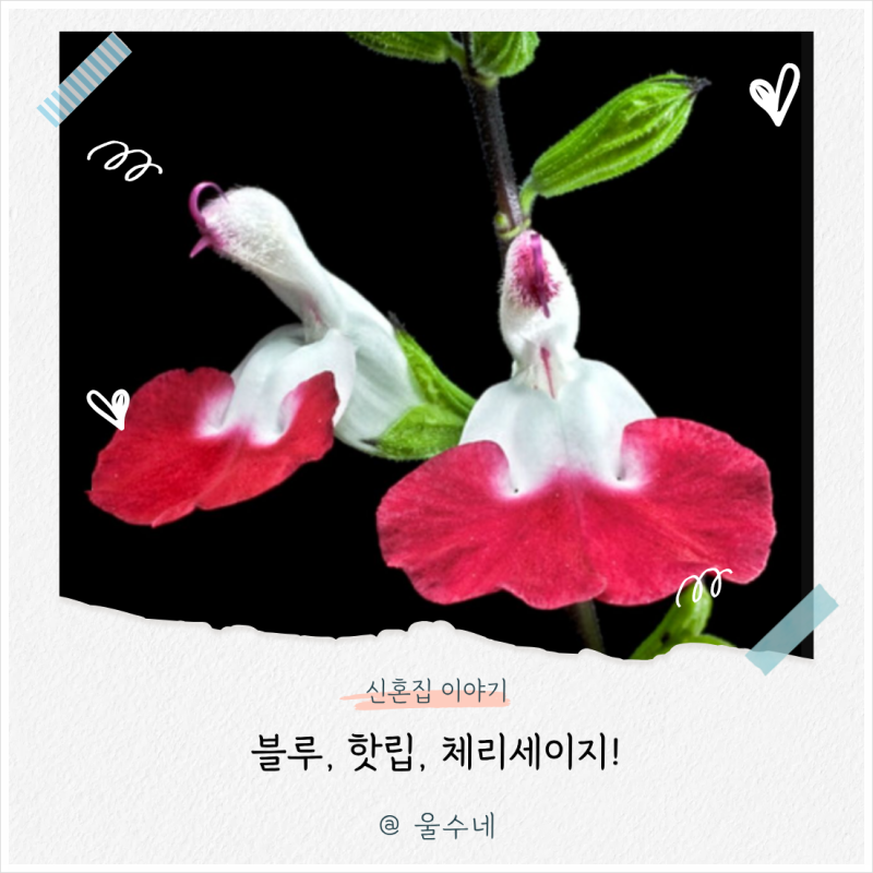 사진 5