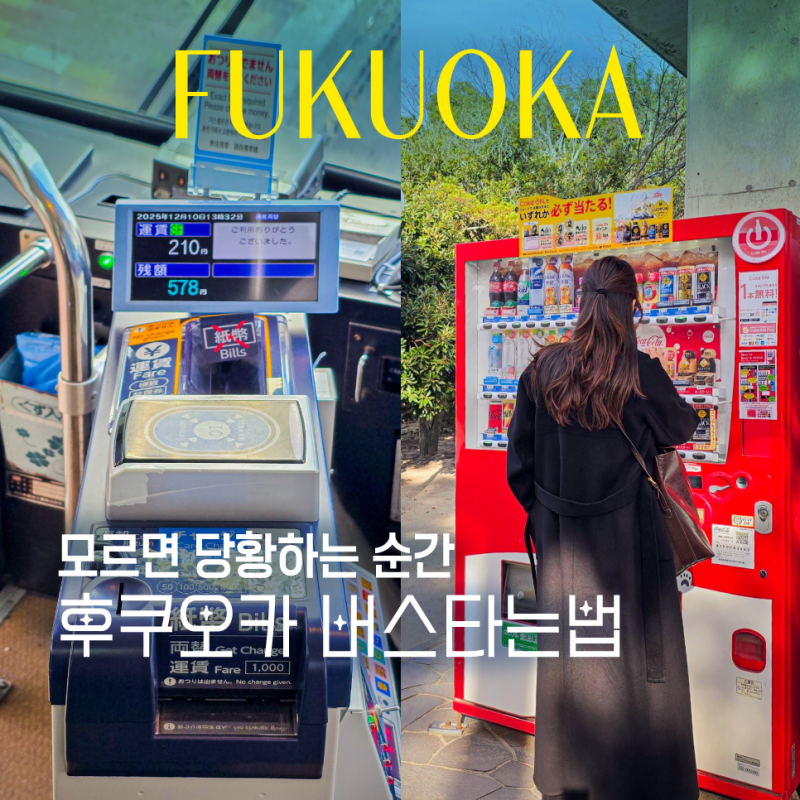 후쿠오카 시내 버스타는법 현금 신용 카드 요금 트래블월렛 스이카 총정리