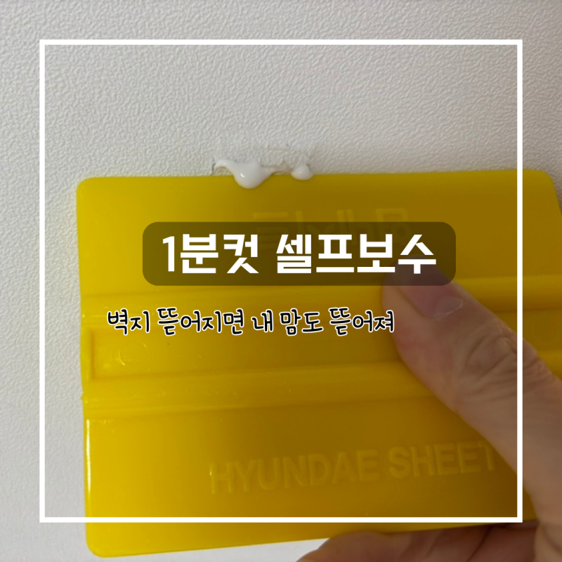 뜯어진 벽지 보수, 다이소에서 간단하게 해결했어요.