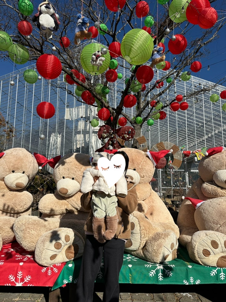  2026년 1월 경남 창원 진해 보타닉뮤지엄 아기랑 포토존 크리스마스