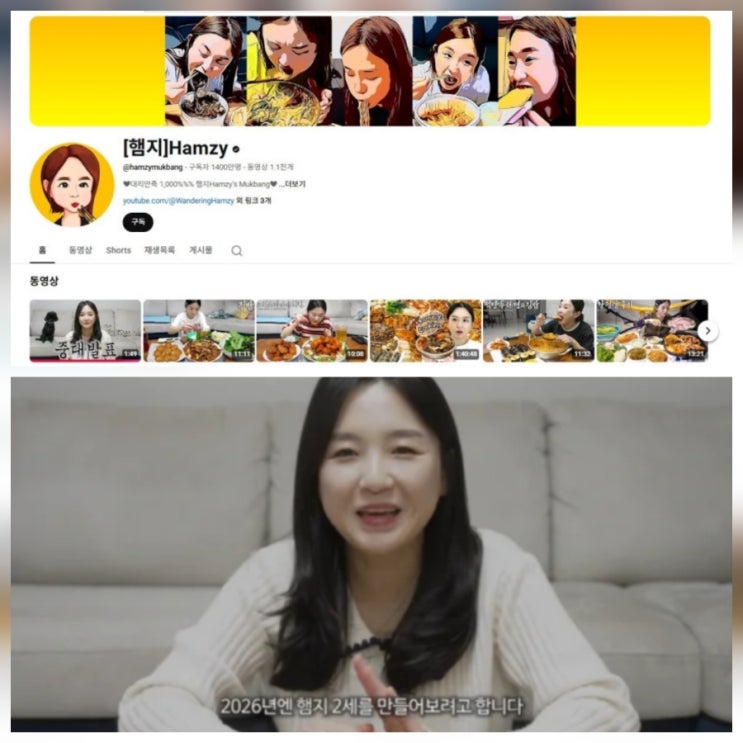 유튜브 햄지 잠정 중단 이유 식당 수입 나이 모음