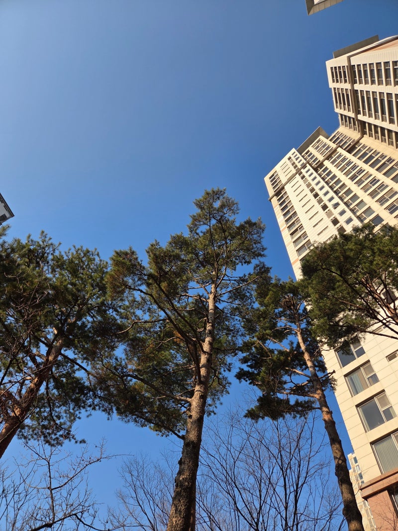 정책지식 2026.1.5. : 네이버 블로그