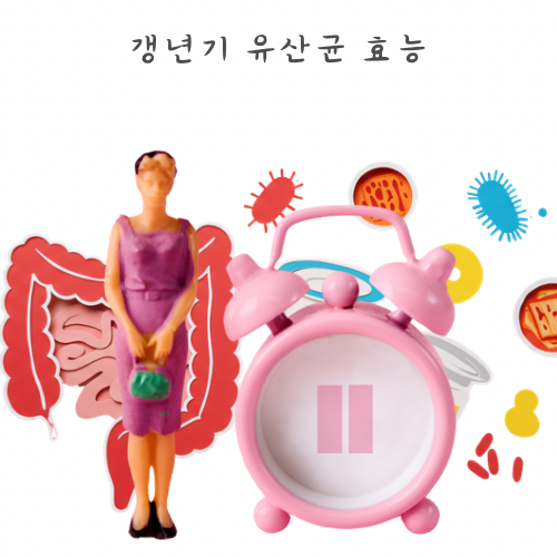 갱년기 유산균 여성 질유산균 효과 40대유산균 효능 높이는 섭취방법